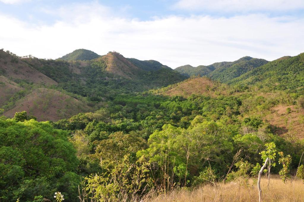 Busuanga Island Paradise Dış mekan fotoğraf